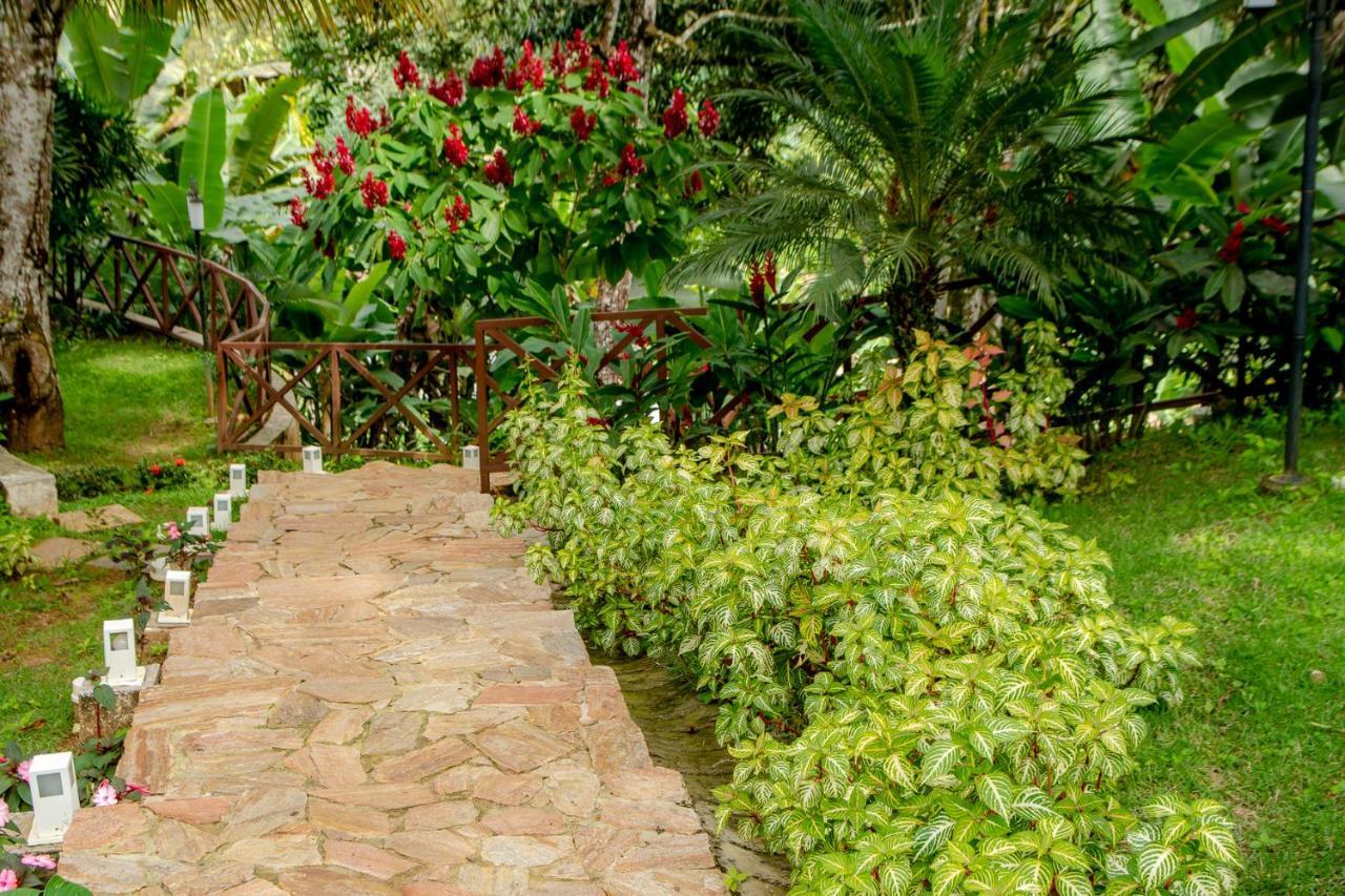 Hotel Cantinho Das Flores Guaramiranga Luaran gambar